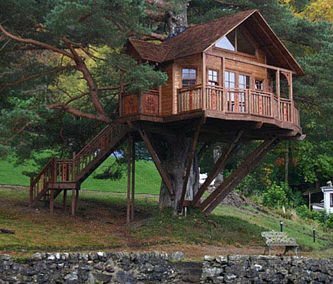 treehouse lodge
