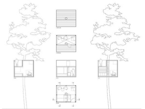 tree-house-design